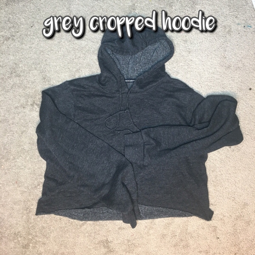 grey cropped hoodie (brandy melville)